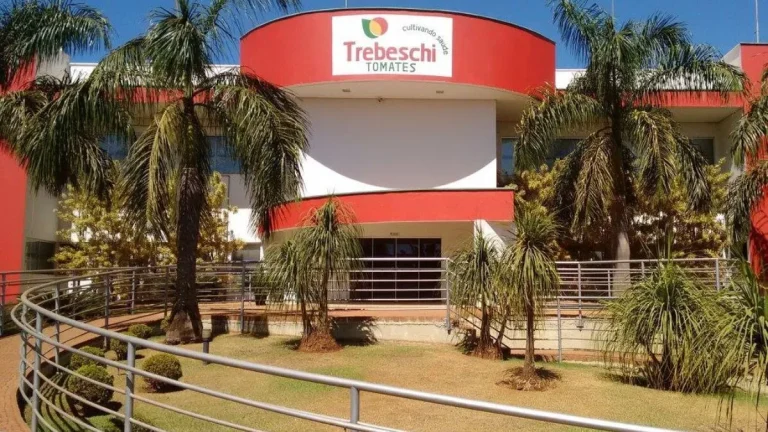 Grupo Trebeschi pede recuperação judicial e alarma o agronegócio brasileiro
