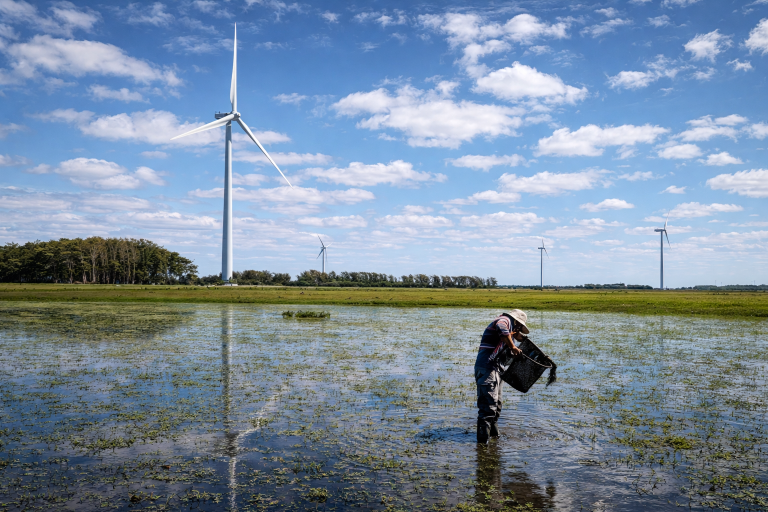 SISBia já reúne mais de 2,6 milhões de dados de fauna, flora e limnológicos, em 12 estados brasileiros
